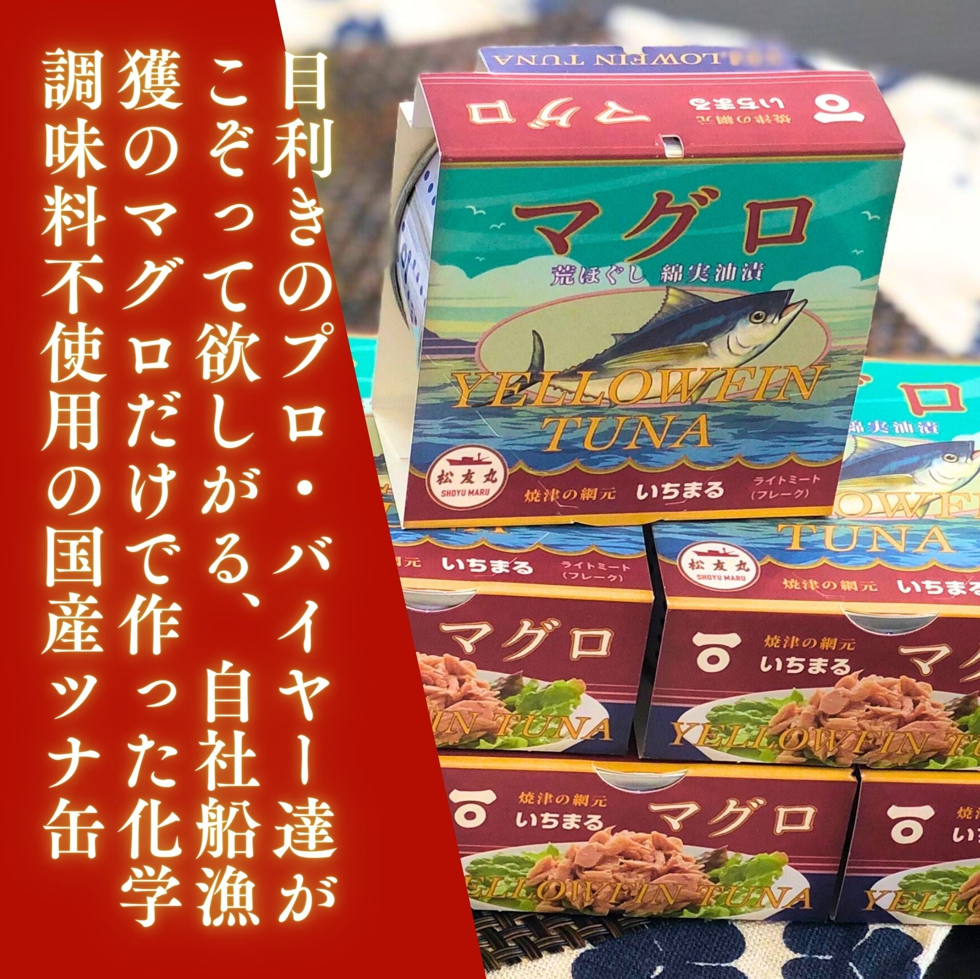 マグロ荒ほぐし綿実油漬