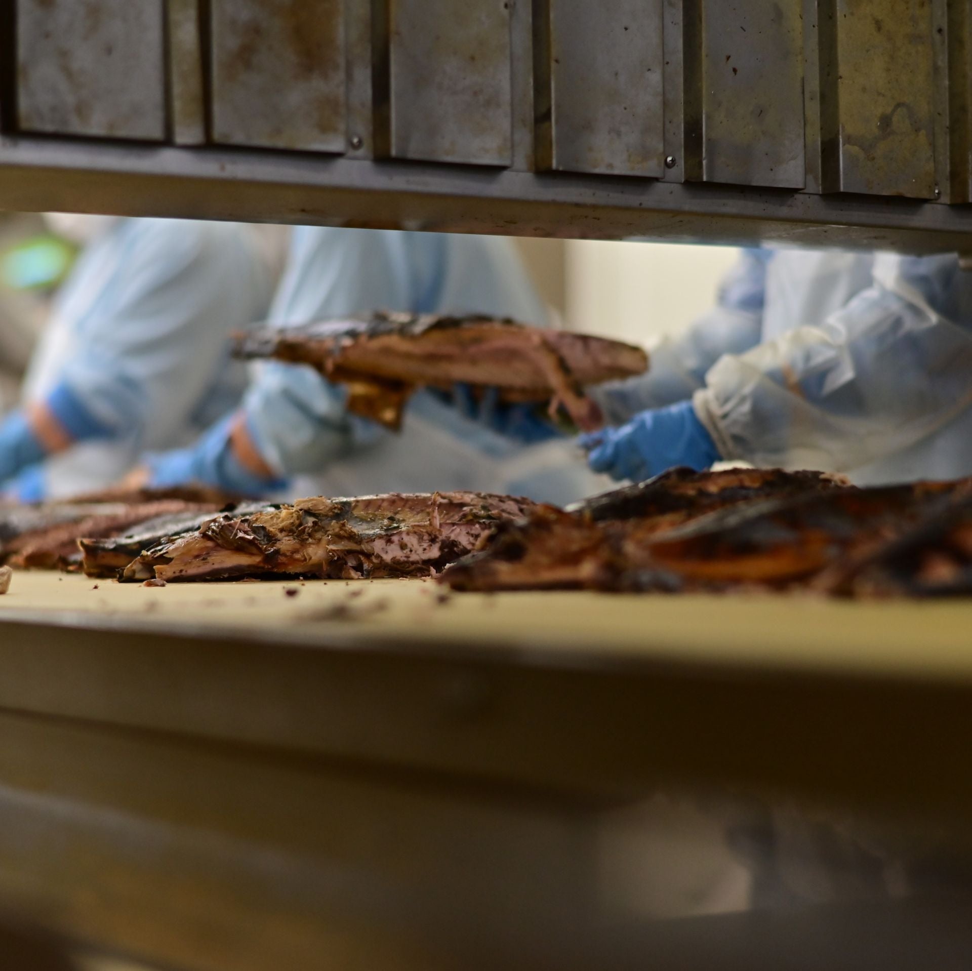カツオ荒ほぐしこめ油漬