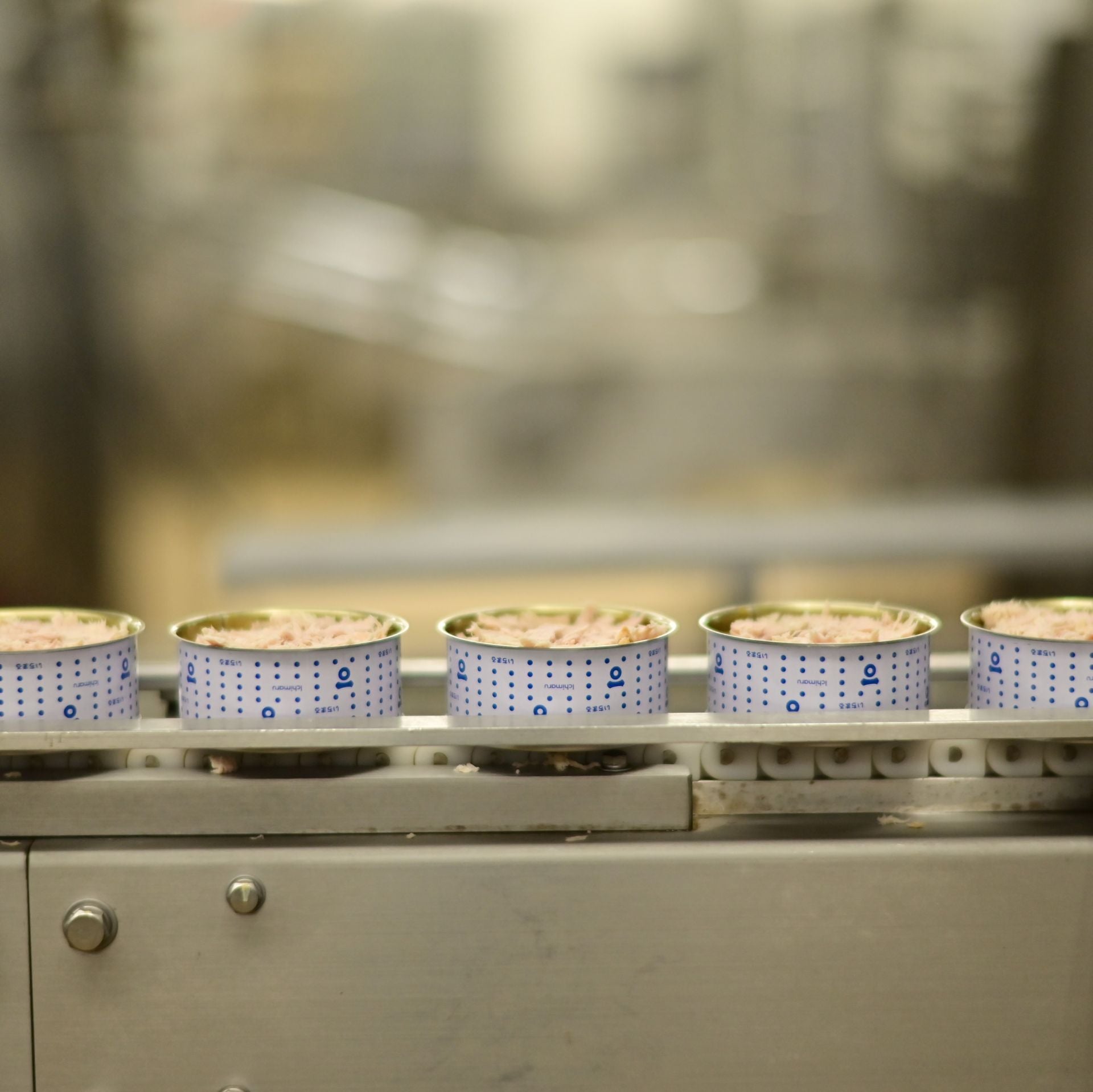 カツオ荒ほぐしこめ油漬