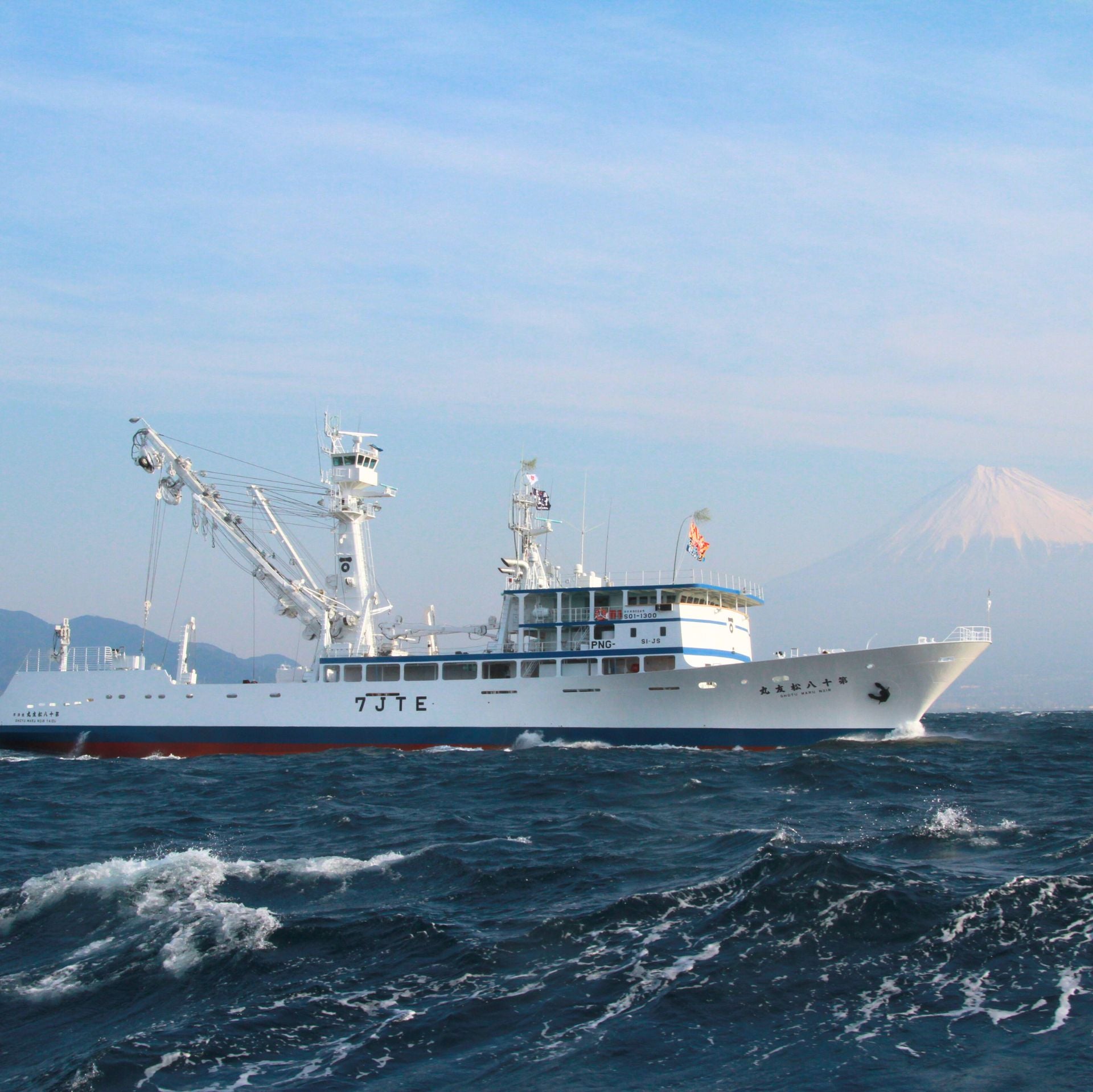 カツオ荒ほぐしこめ油漬