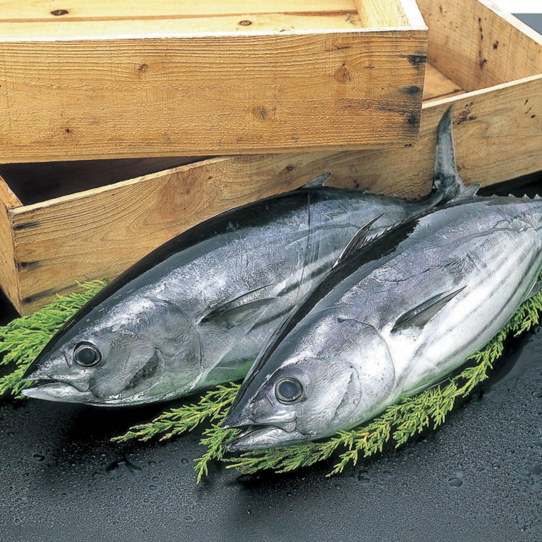 駿河ふぶき 農林水産大臣賞受賞 かつおかれぶし削りぶし(国産 薄削り)