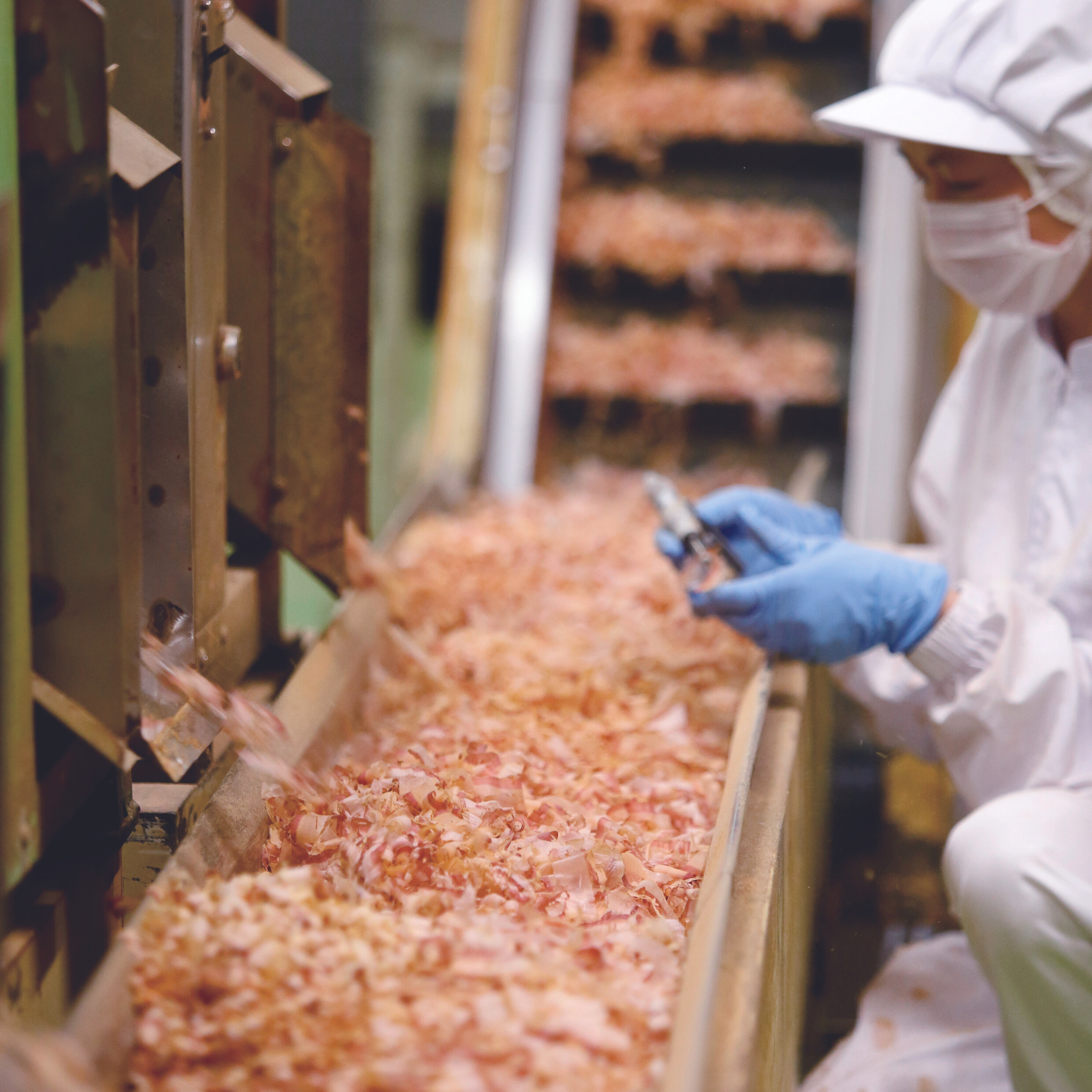 粉かつお かつお削りぶし (砕片)