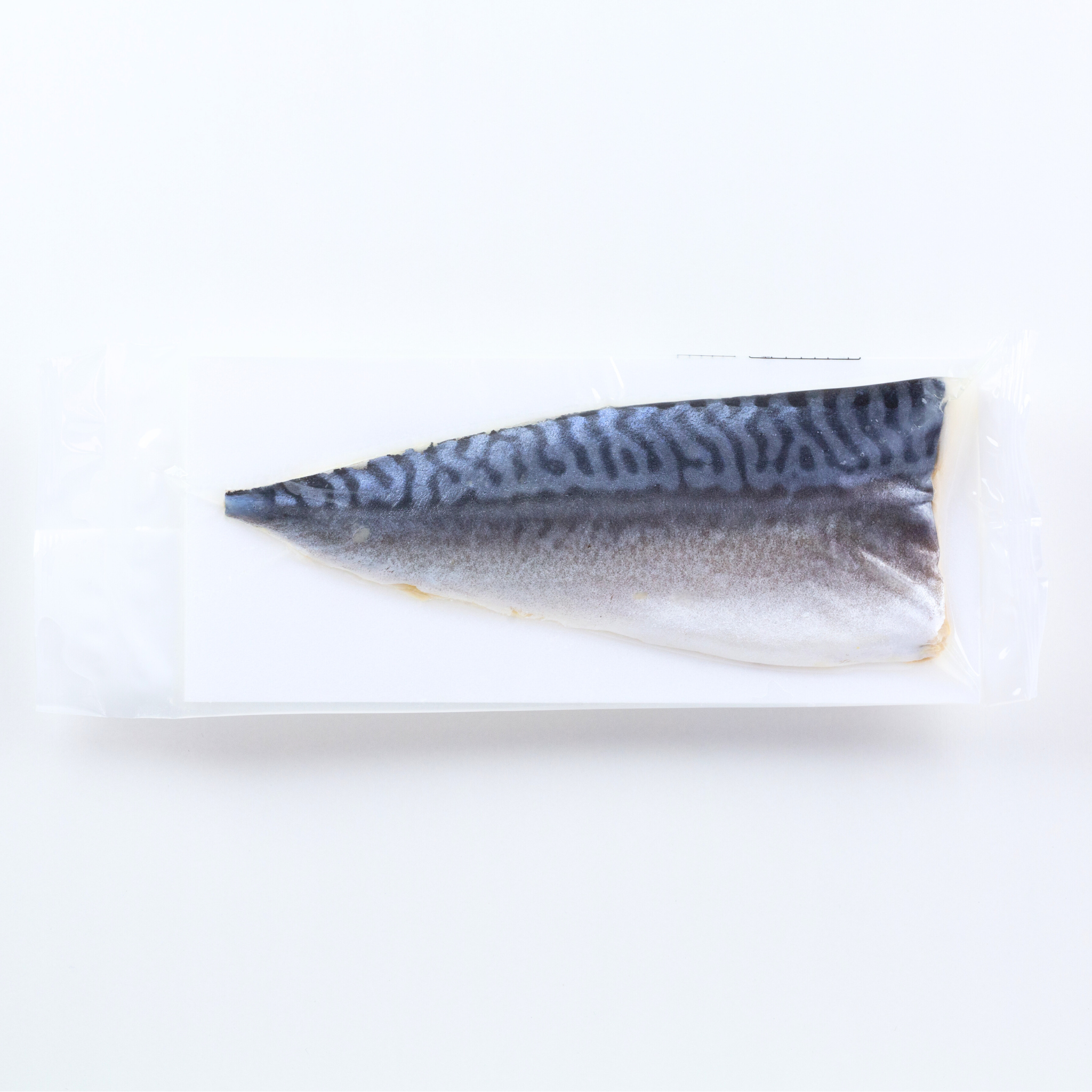 国産レアしめ鯖