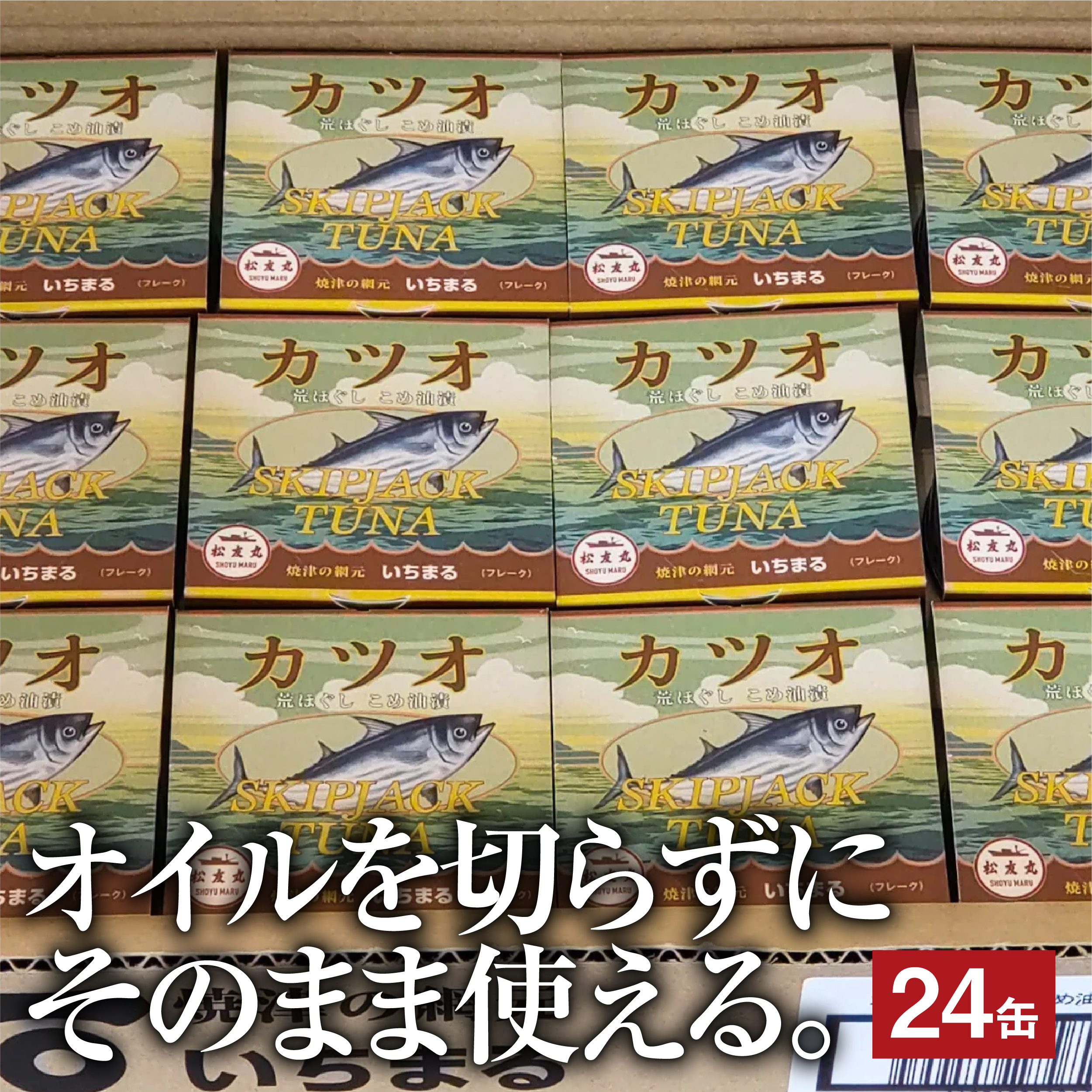 カツオ　荒ほぐし 缶詰 24缶入り