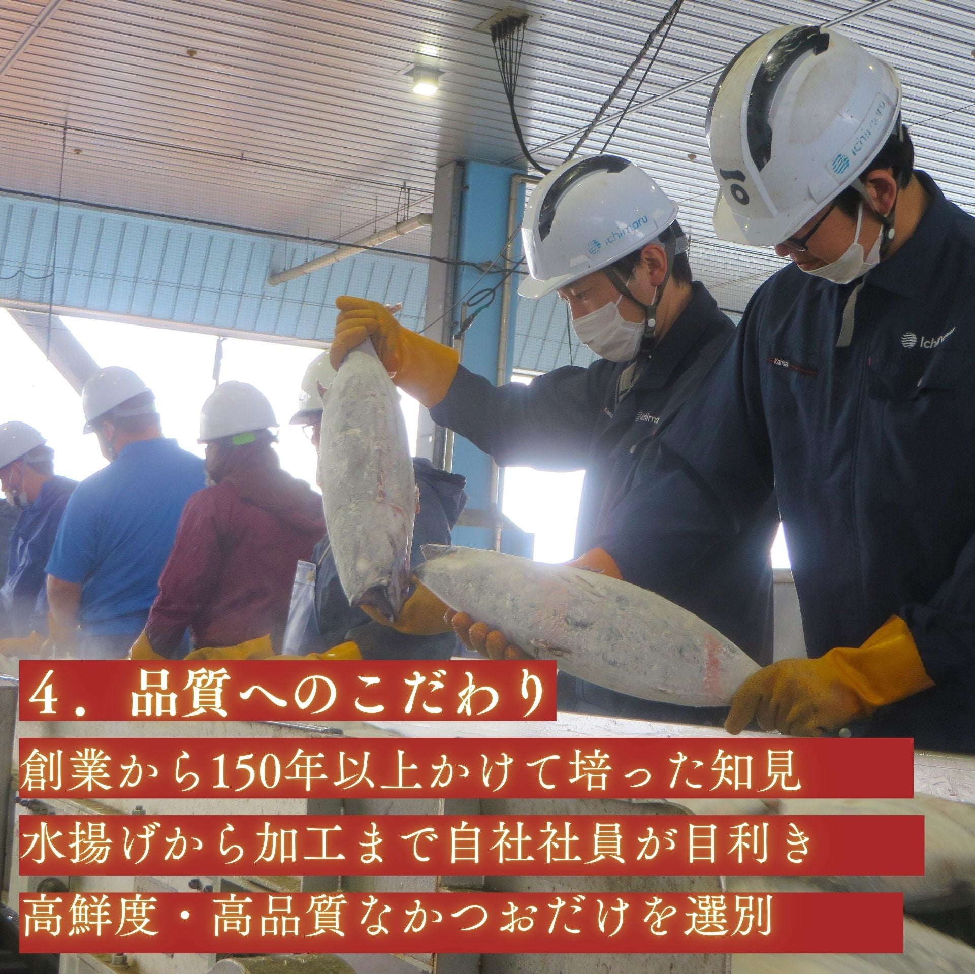 かつお船漁師の賄い 漬け丼の具（120グラム×6パック入り）