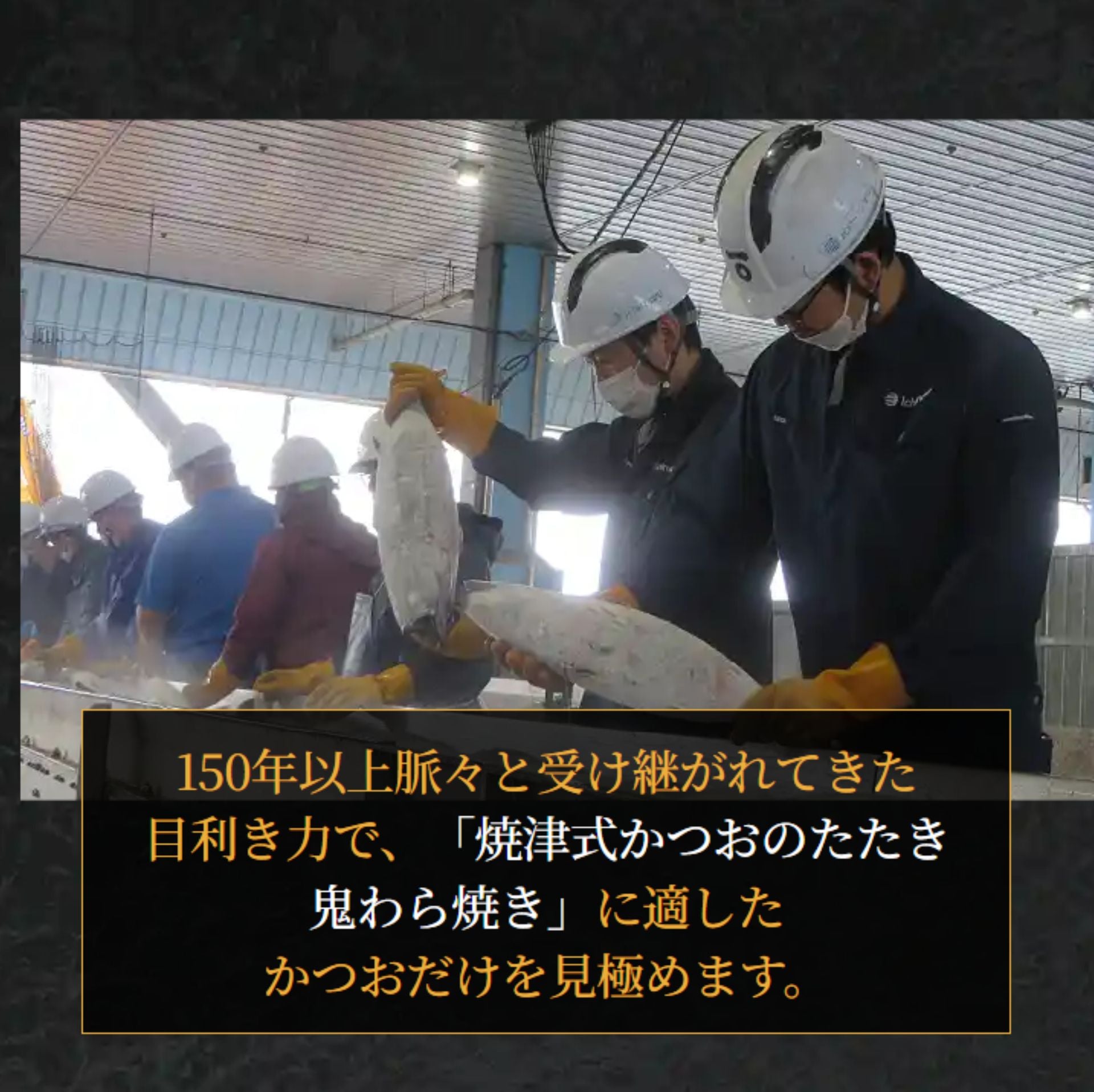 焼津式 かつおのたたき　鬼わら焼き　1.5kg以上（4~7本）ゆずぽん酢たれ付き