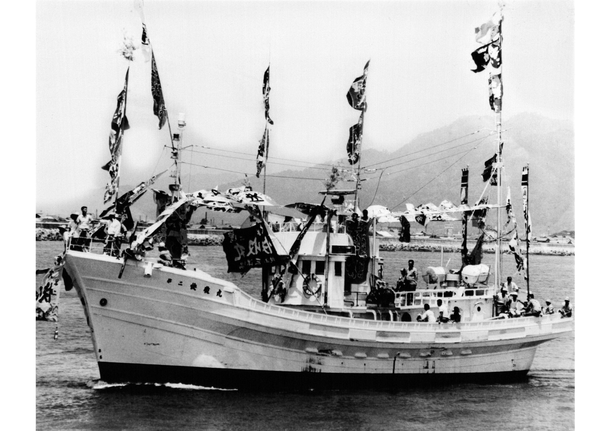 国産レアしめ鯖